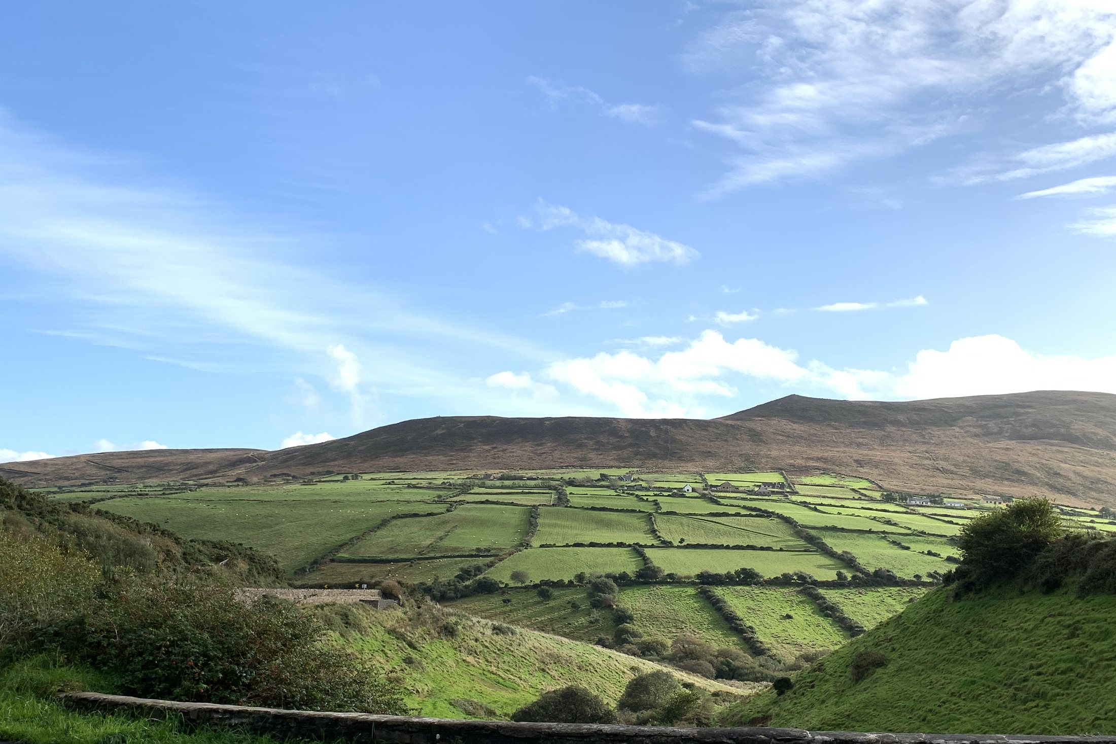 A road through green fields and stone walls on the Irish coast